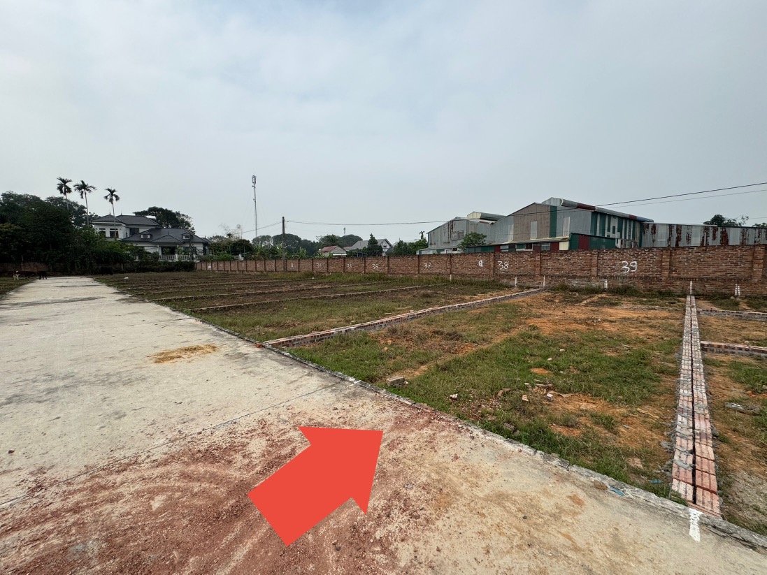 Đất vàng thanh khoản nhanh, ô tô vào tận nơi