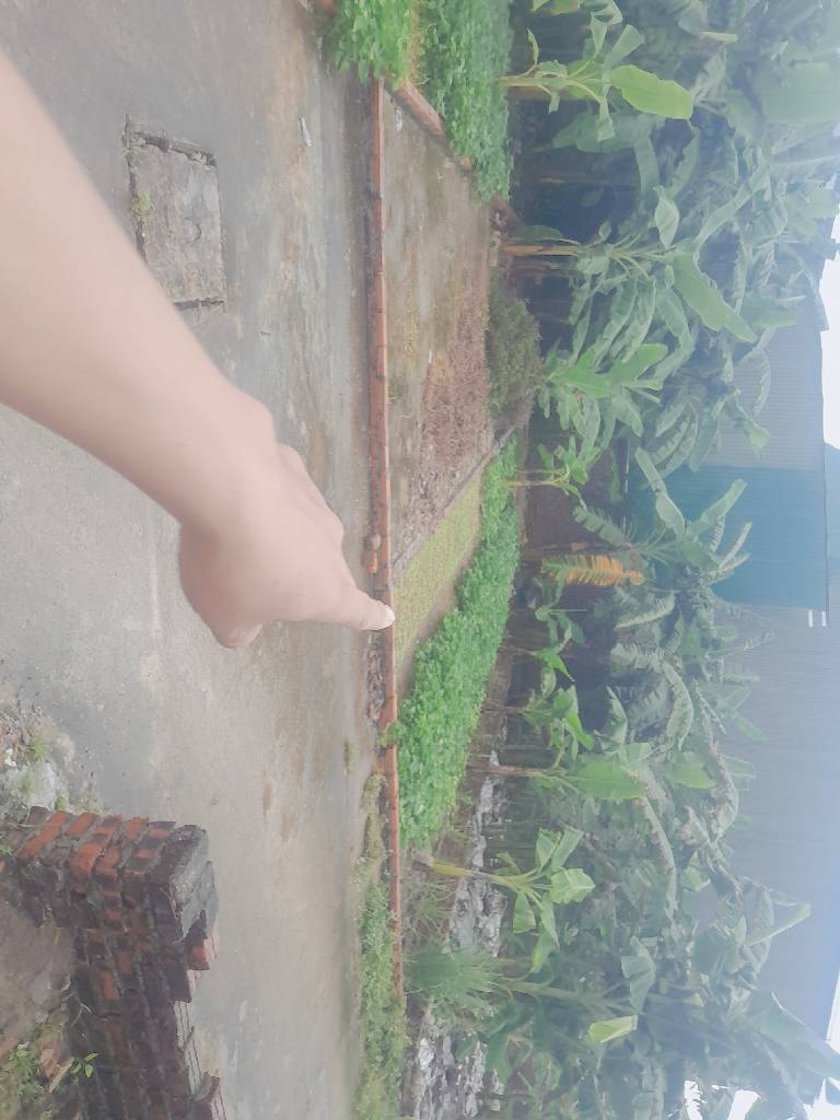Lô Đất Vuông Vắn Tại Xã Tiên Dược, Sóc Sơn - Không Gian Sống Tinh Tế Và Riêng Tư