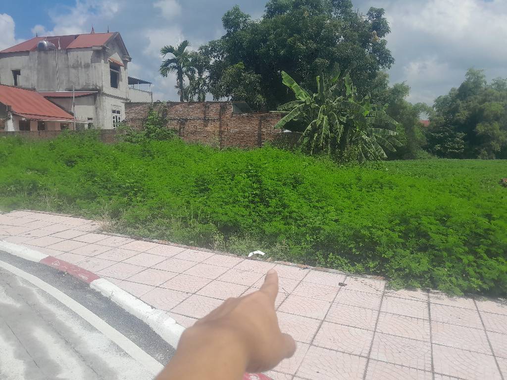 Đất Vệ Sơn Đoài Sóc Sơn – Gần Trường Đua Ngựa, Giá Hời
