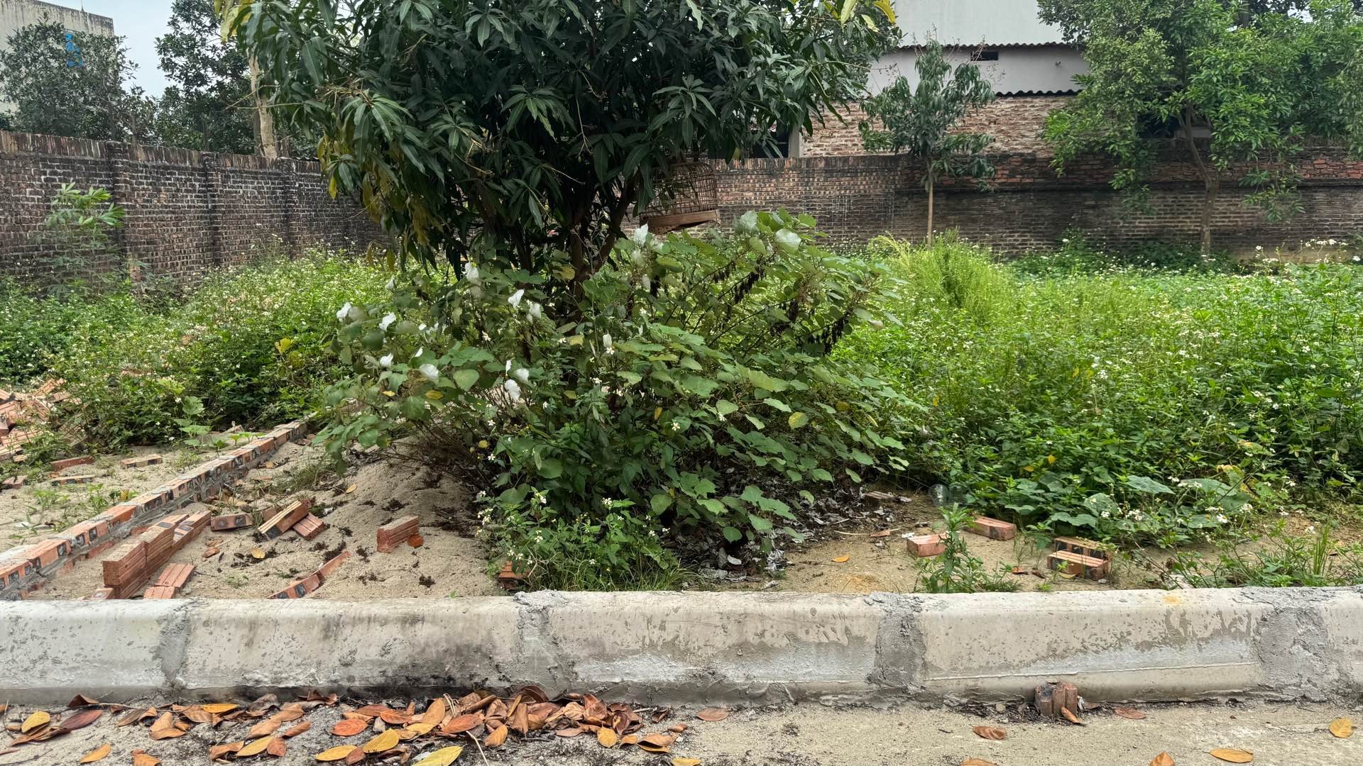 Đất thổ cư đẹp, giá tốt, vị trí đắc địa tại trung tâm đô thị