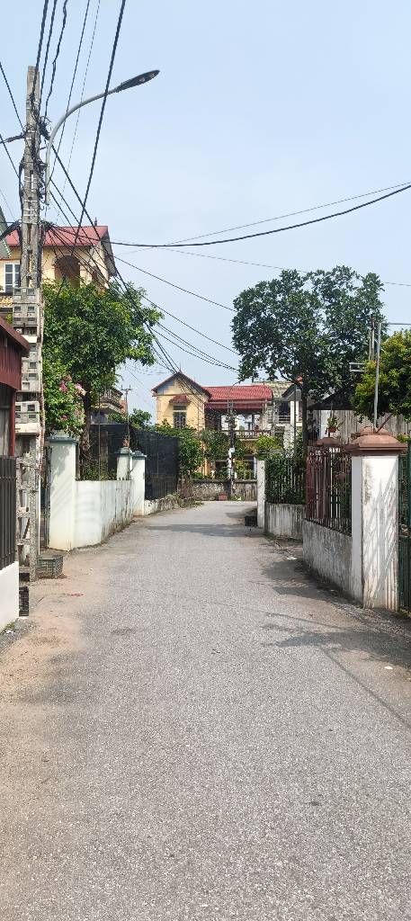 Siêu Phẩm Nhà Đẹp Gần Ecopark, Giá Tốt Nhất Khu Vực