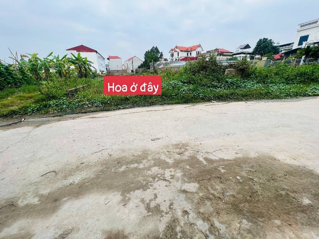 Đất Vàng Hương Đình Đông, Tiềm Năng Kinh Doanh Đỉnh