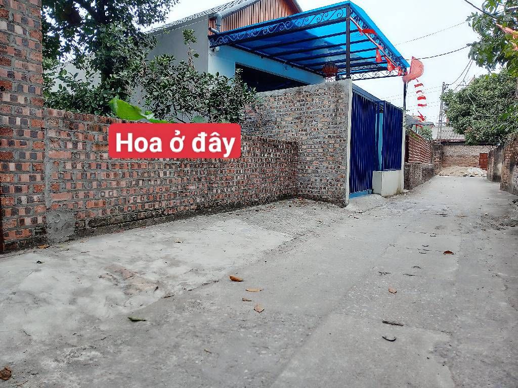 Bán đất thổ cư và đất trồng cây lâu năm tại xã Tiên Dược, Sóc Sơn, ngõ ô tô 5 chỗ