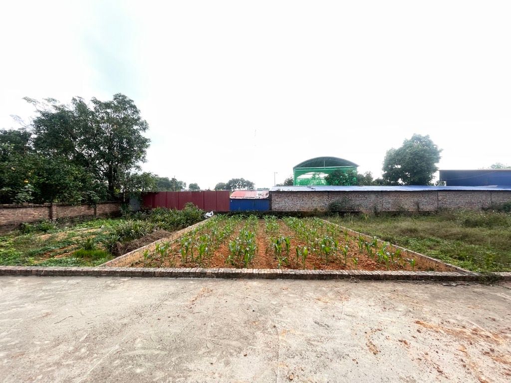 Đất Tân Minh Sóc Sơn Mặt Tiền Rộng, Giá Sốc Giảm Ngay 100 Triệu
