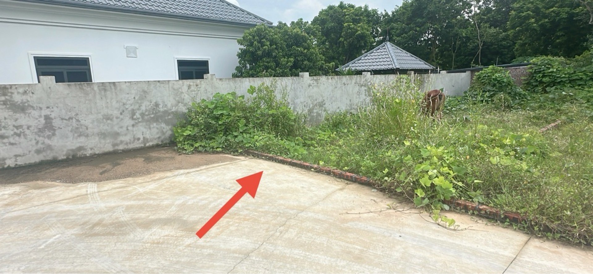 Cơ hội sở hữu đất thổ cư mặt tiền rộng tại khu vực đang phát triển nhanh