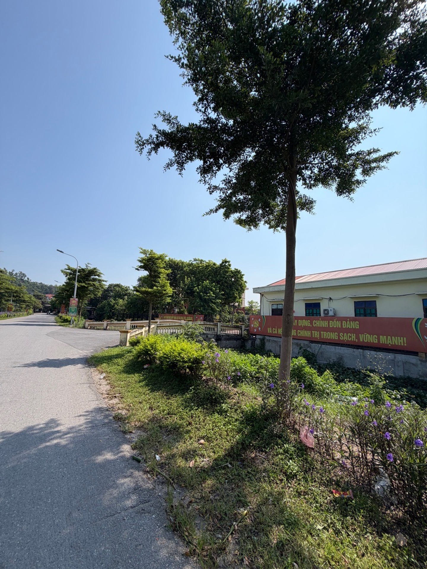 Bán đất phân lô 97.5m² gần trung tâm phường Phúc Nghiêm
