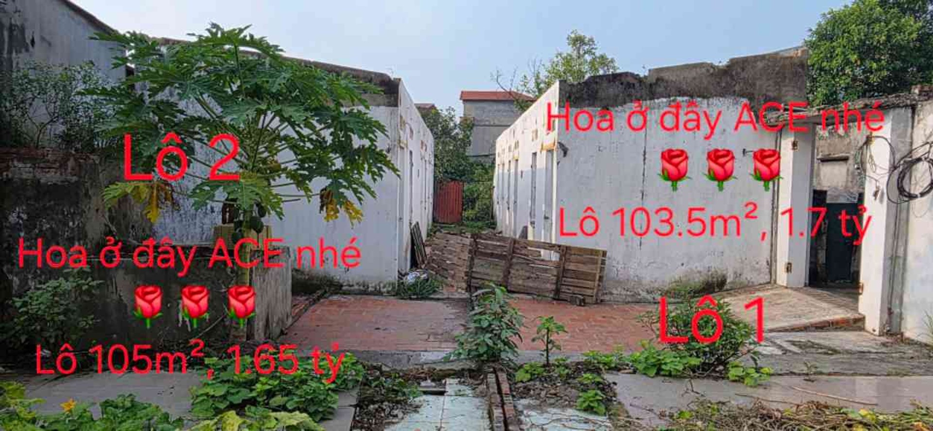 Bán đất 105m2 hướng Bắc thôn Bất Lự, Tiên Du Bắc Ninh