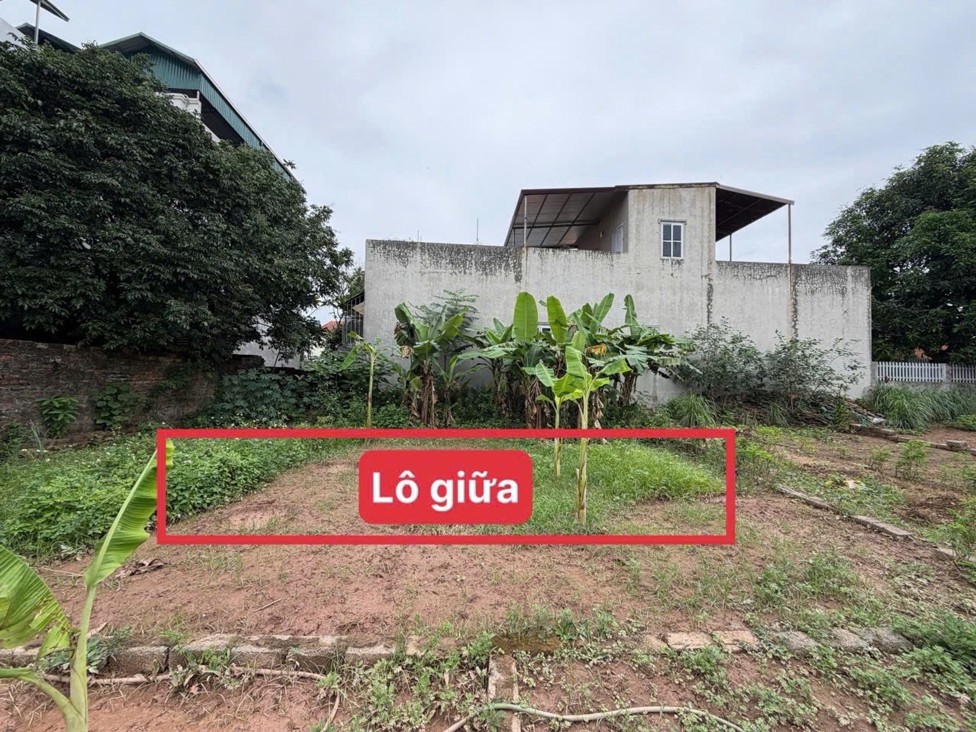 Bán đất Phượng Bãi 41.7m² đường ô tô, giá 2.8 tỷ