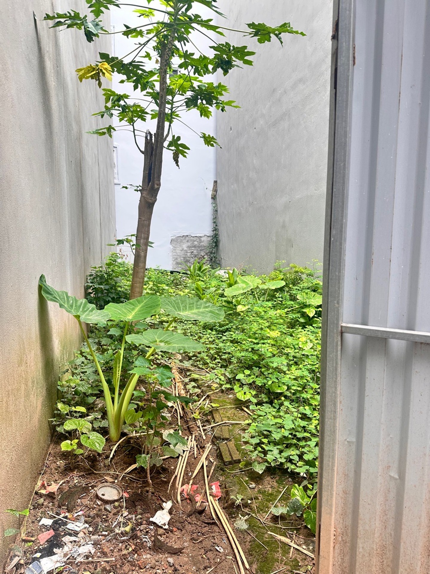 📕Bán đất 40m2 tại Tả Thanh Oai-ngõ thông-gần ô tôi tránh