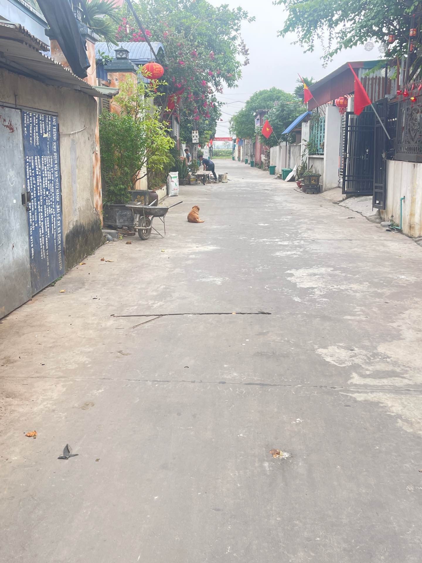 Đất thổ cư đẹp giá tốt tại Sóc Sơn - Thế Trạch