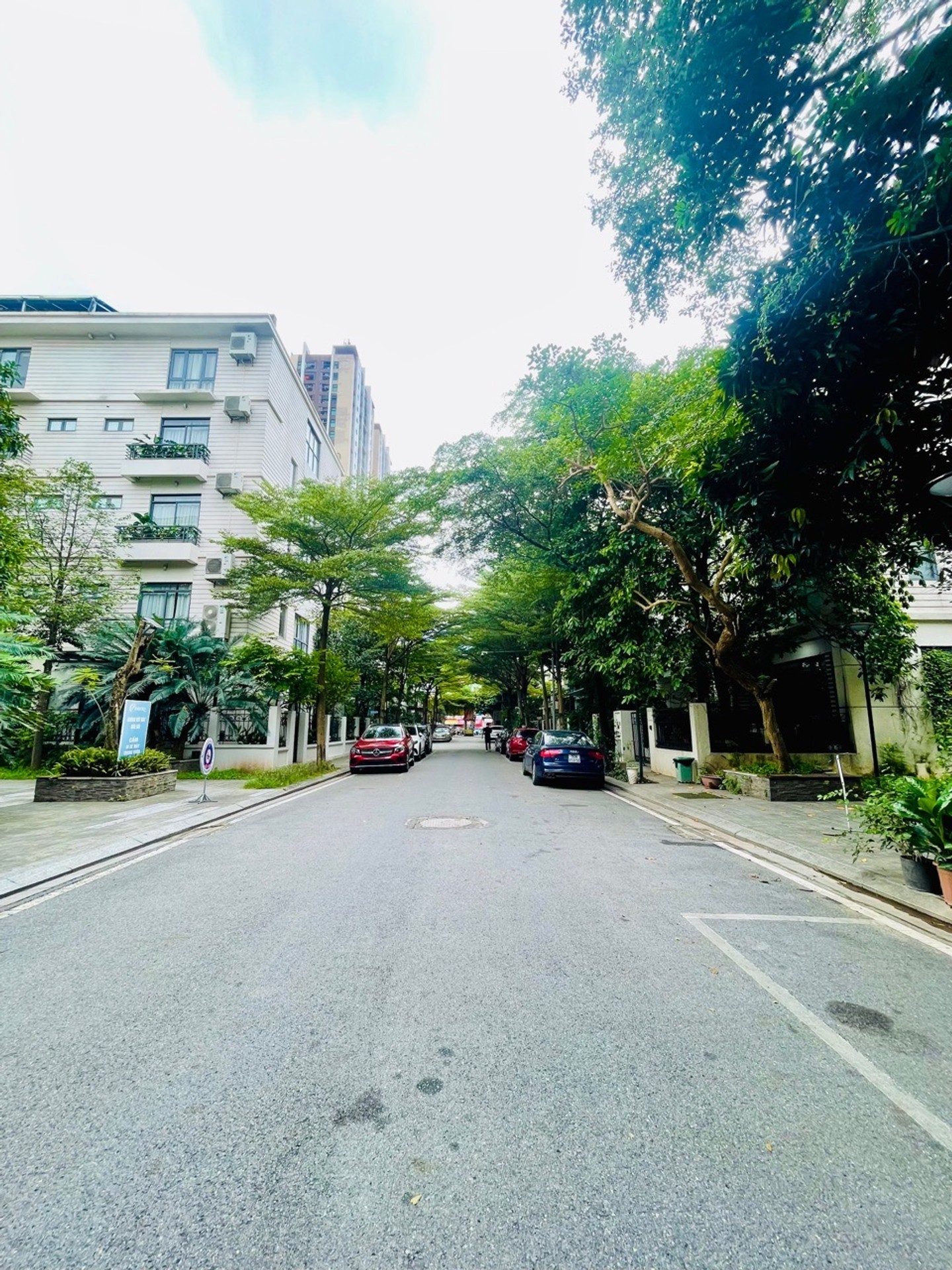 🏡 BIỆT THỰ NHÀ VƯỜN PANDORA – 146M² | 65 TỶ📍