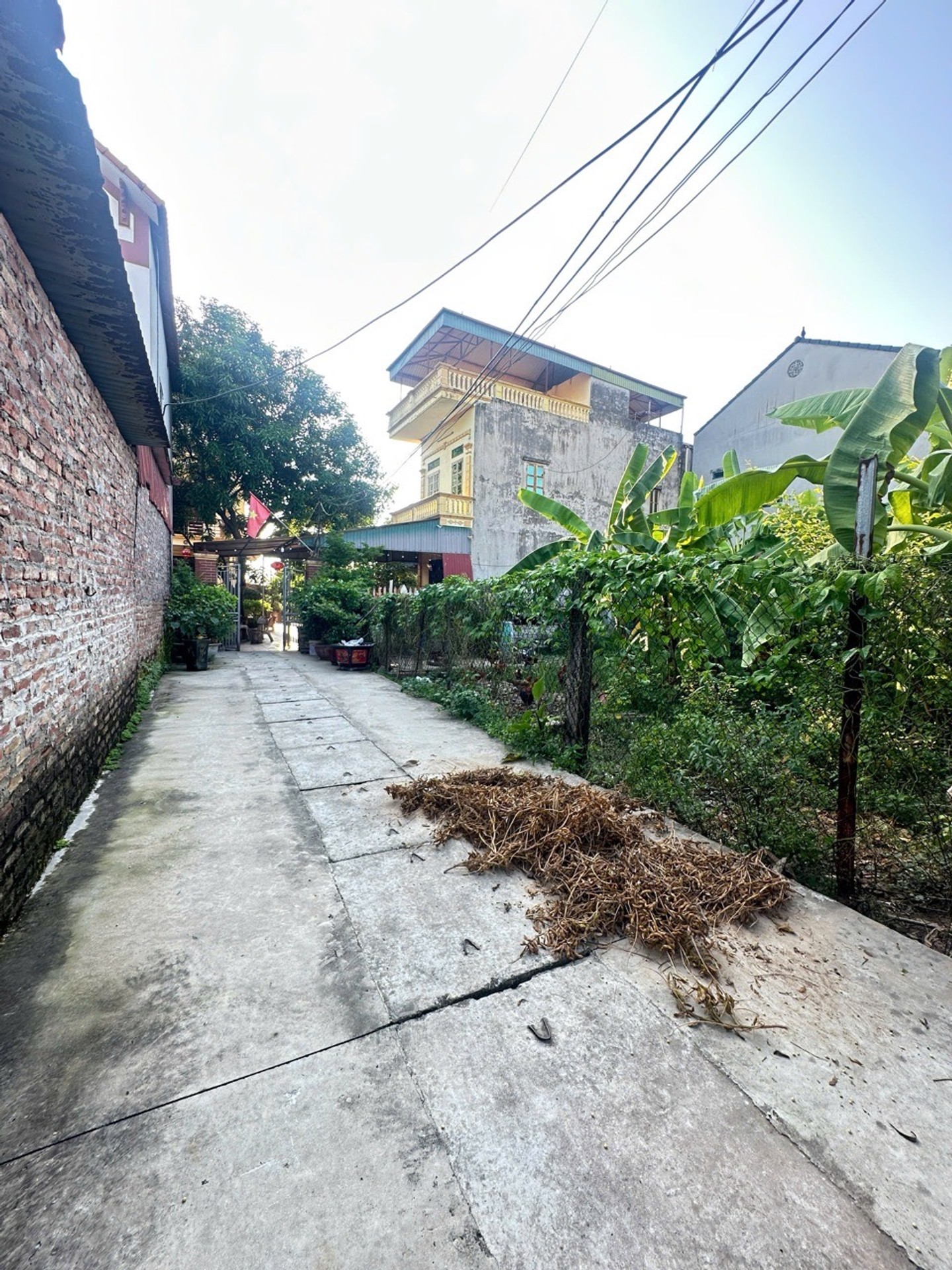 ⭕️ QUANG MINH TIẾN THẮNG GIÁP CHỢ HOA QUẢ 85M2 ĐẤT Ô TÔ VÀO VÀI BƯỚC RA PHỐ CHỈ 3.x Tỷ VÕ VĂN KIỆT