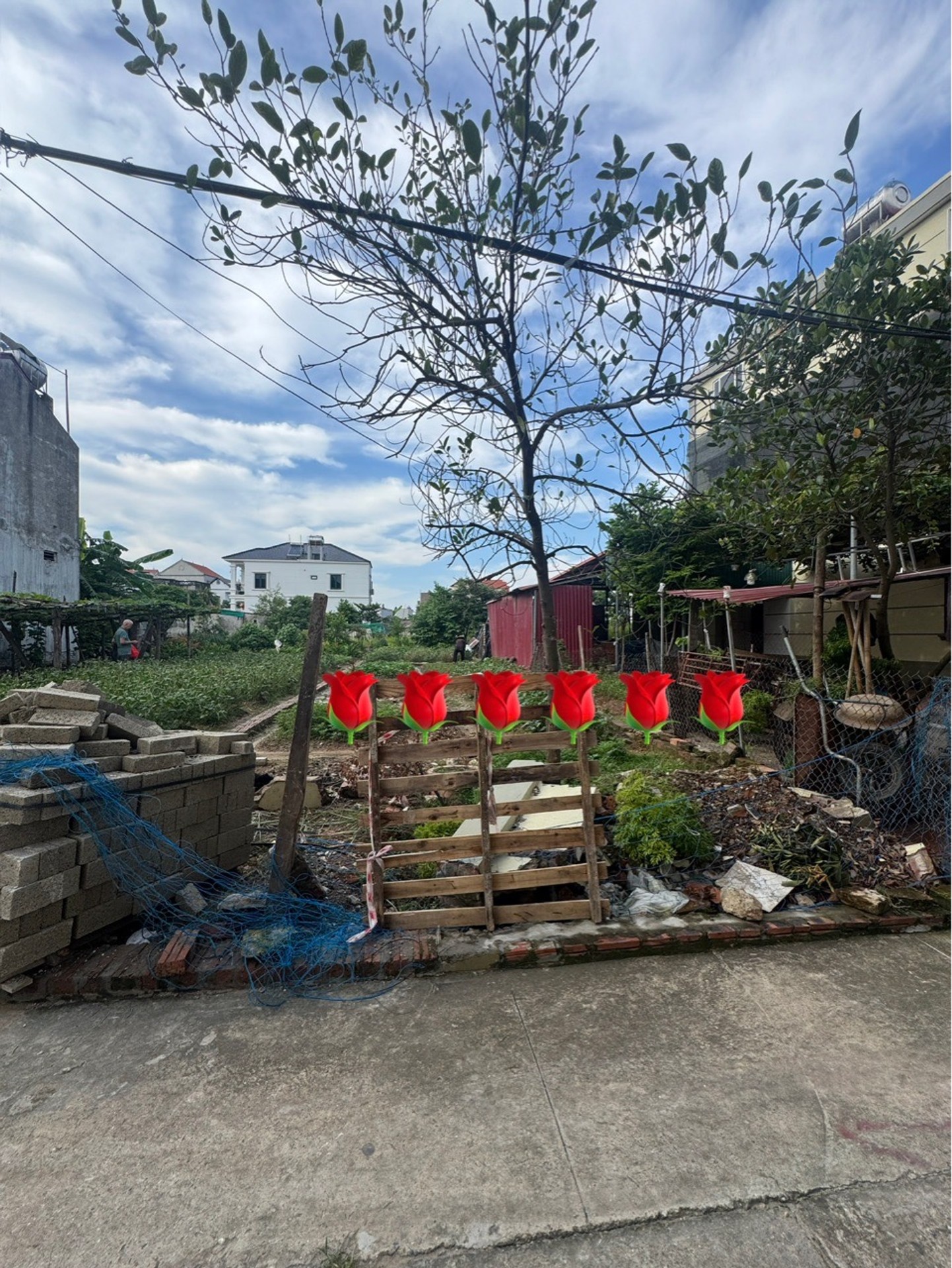 ⭕️Hơn 3 tỷ lô 126m2 Đất Sát Hồ Điều Hòa Quang Minh - Sổ Đỏ Sẵn, Ô Tô Vào Tận Nơi Võ Văn Kiệt