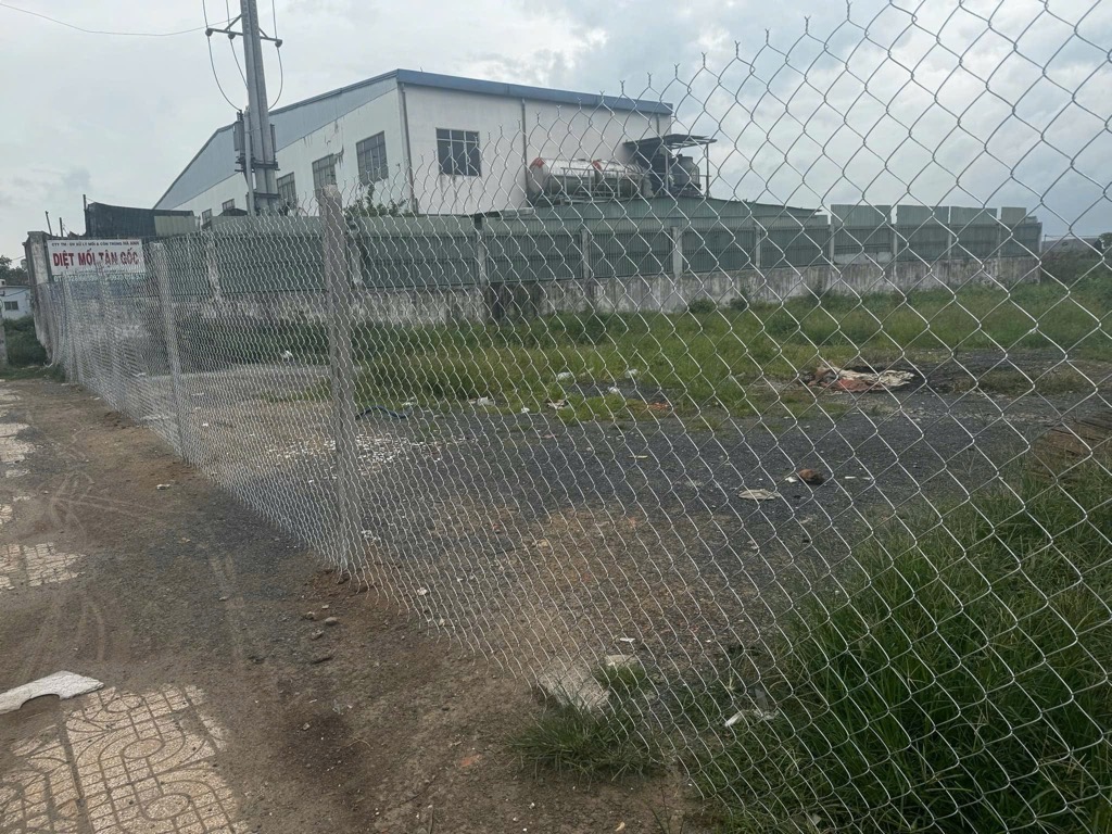 Bán đất 1000m2 mặt tiền Nguyễn Văn Bứa, gần Ngã Ba Giồng, Hóc Môn