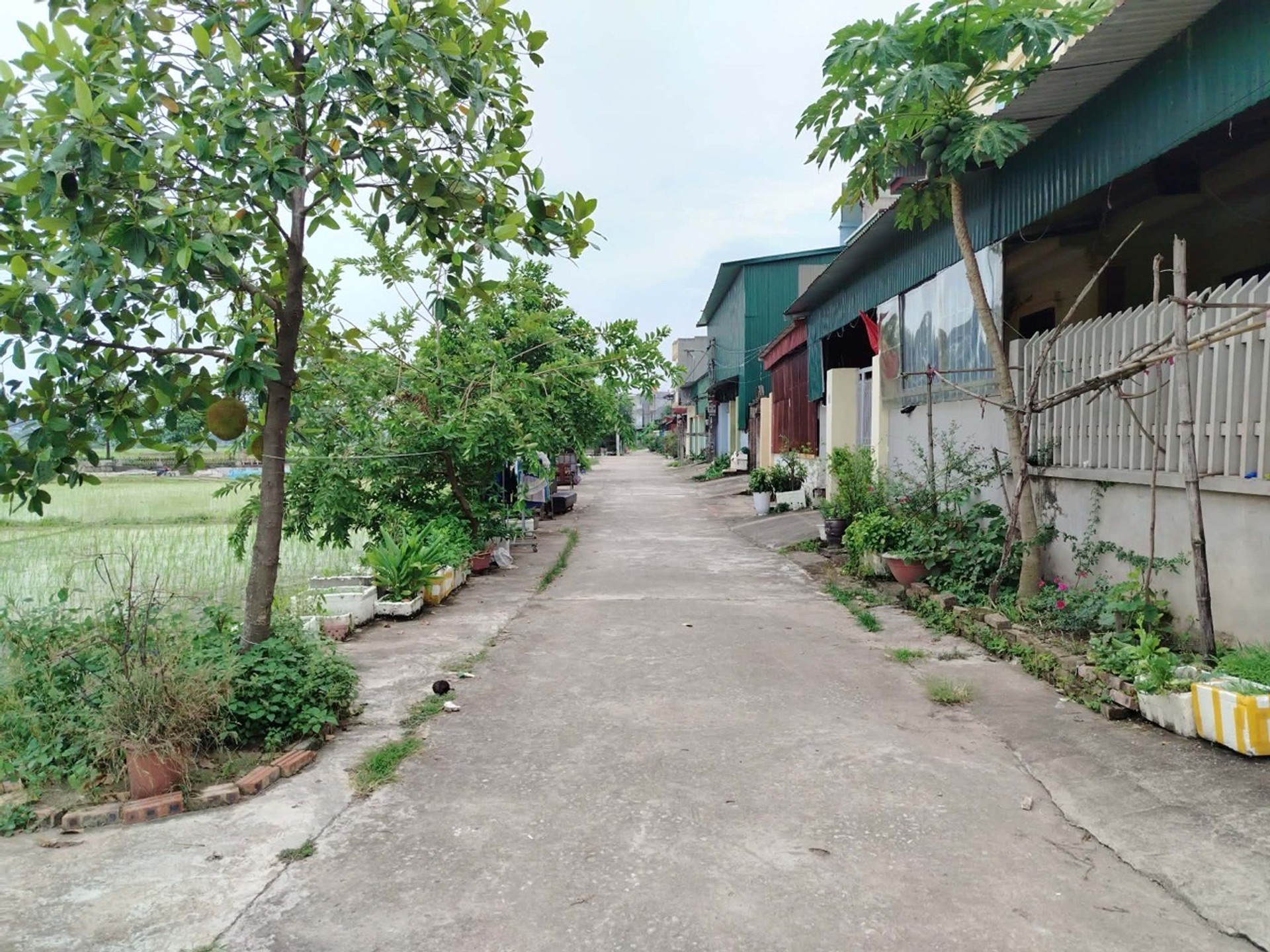 Bán đất 100m² hướng Bắc mặt tiền 5.8m tại Ném Sơn với giá tốt