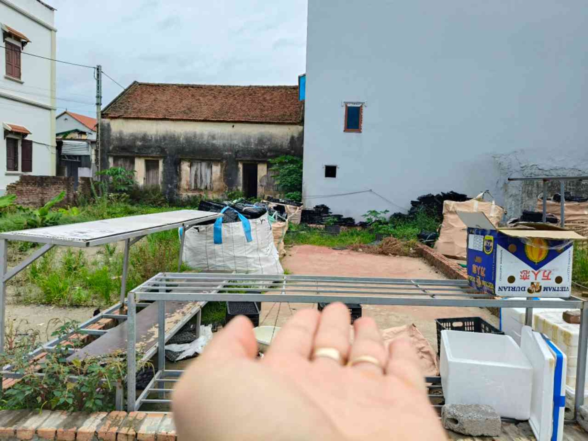 Đất Trục Chính Thôn Đông Mai - Kinh Doanh Đỉnh