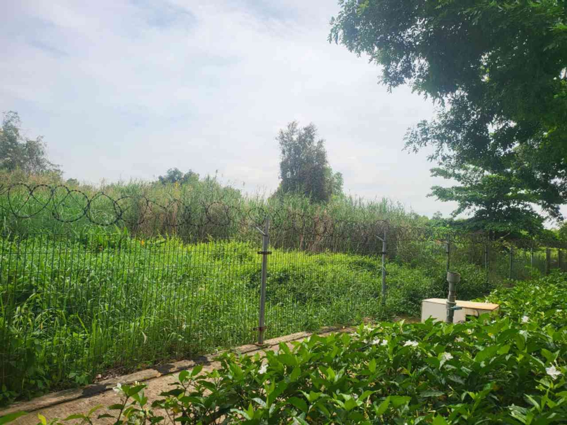Bán đất mặt tiền Nguyễn Bình, xã Nhơn Đức, Nhà Bè, diện tích lớn 181.3 m2, pháp lý cơ sở