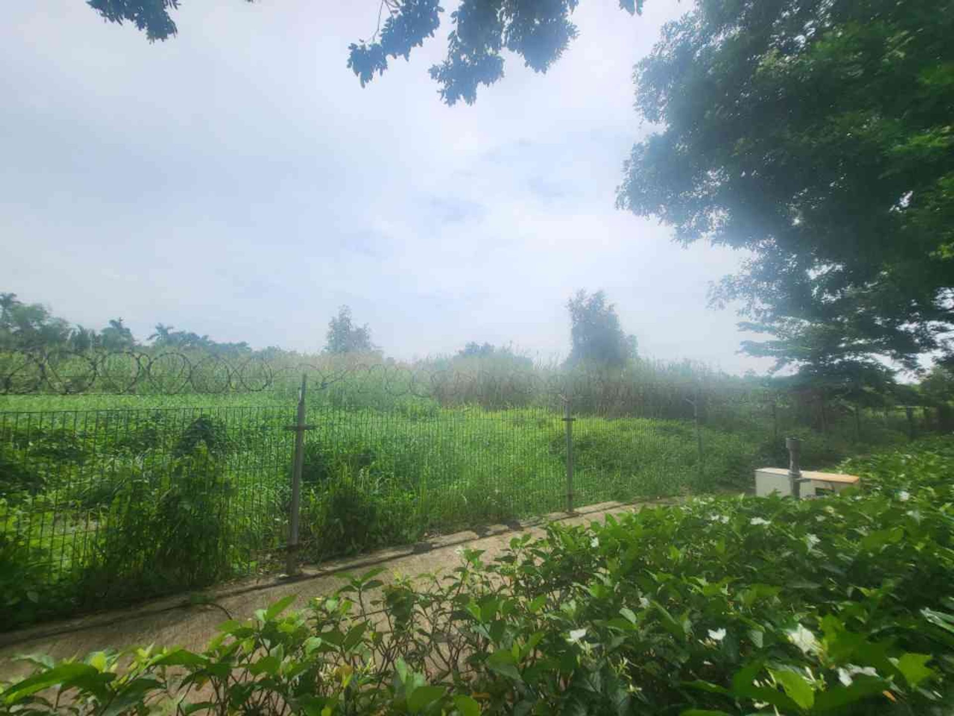 Bán đất xã Nhơn Đức, huyện Nhà Bè, gần khu đô thị The Star Village, diện tích lớn 3616.5m²