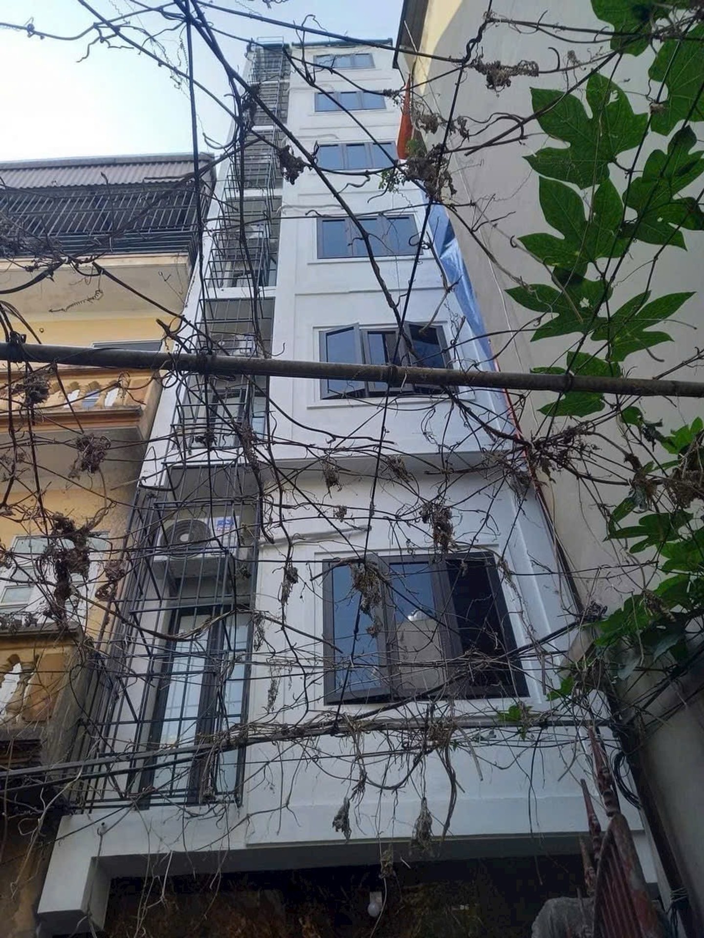 Cơ hội vàng sở hữu chung cư mini 7 tầng tại Yên Xá với dòng tiền ổn định