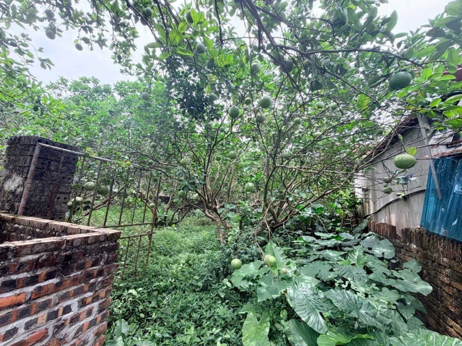Cơ hội sở hữu đất 272m2 tại Hưng Yên giá tốt, vị trí đẹp, pháp lý rõ ràng, tiềm năng tăng giá