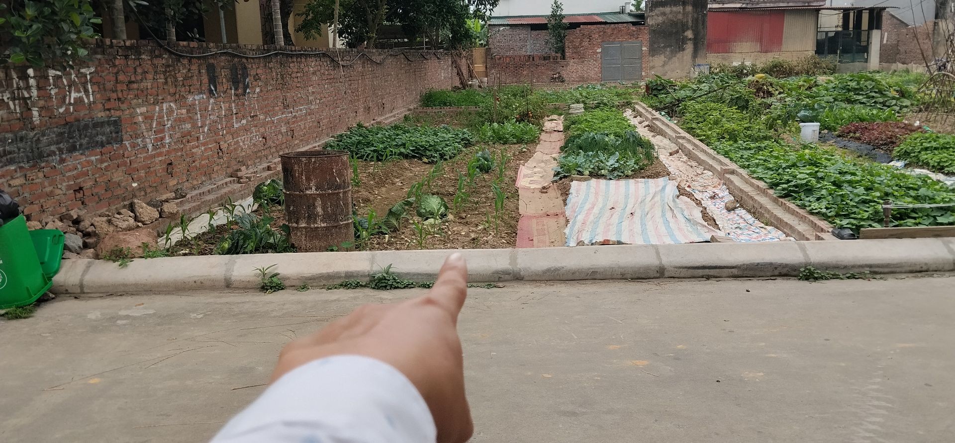Cơ Hội Vàng Sở Hữu Đất Mặt Tiền Kinh Doanh Tại Đông Lai Quang Tiến