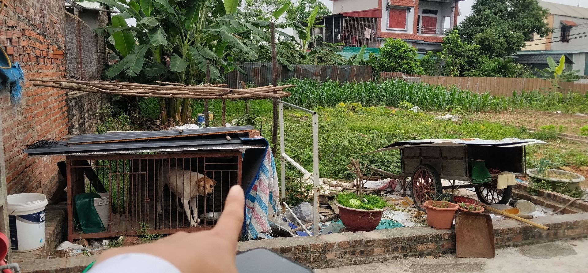 Siêu phẩm đất kinh doanh mặt tiền trục chính Quang Tiến