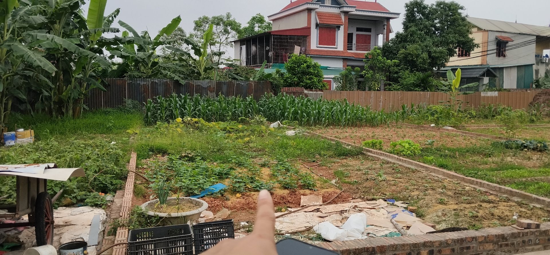 Đất Kinh Doanh Đông Lai Quang Tiến Giá Tốt