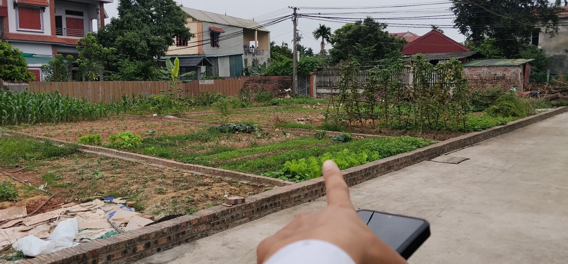 Đất đẹp trục chính Đông Lai Quang Tiến, giá mềm đầu tư ngay