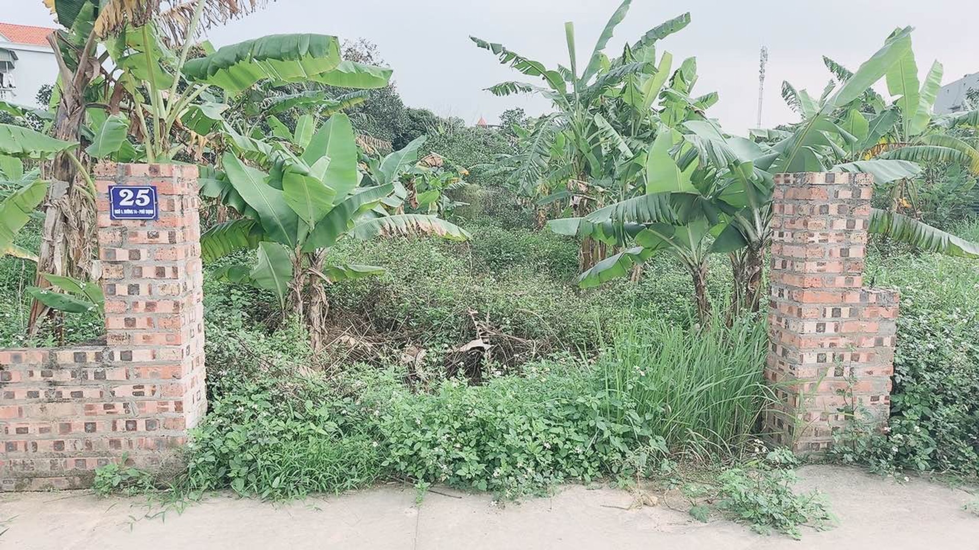 Cơ hội sở hữu đất phân lô ô tô tránh tại Kim Anh, TP Hà Nội giá tốt