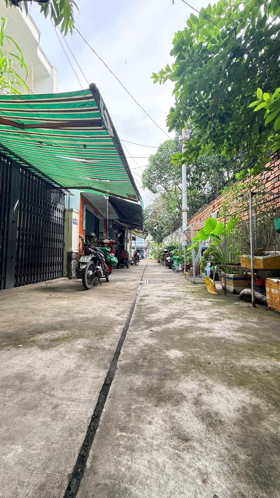 Bán nhà cũ 64m2 tiện xây mới đường trần đại nghĩa- bình tân