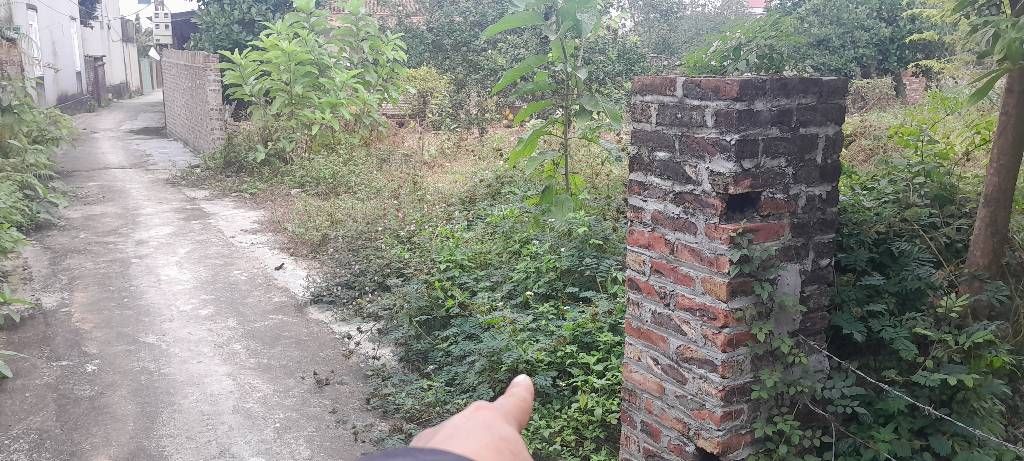 Đất hiếm gần Trường Đua Ngựa Sóc Sơn, giá hời đầu tư