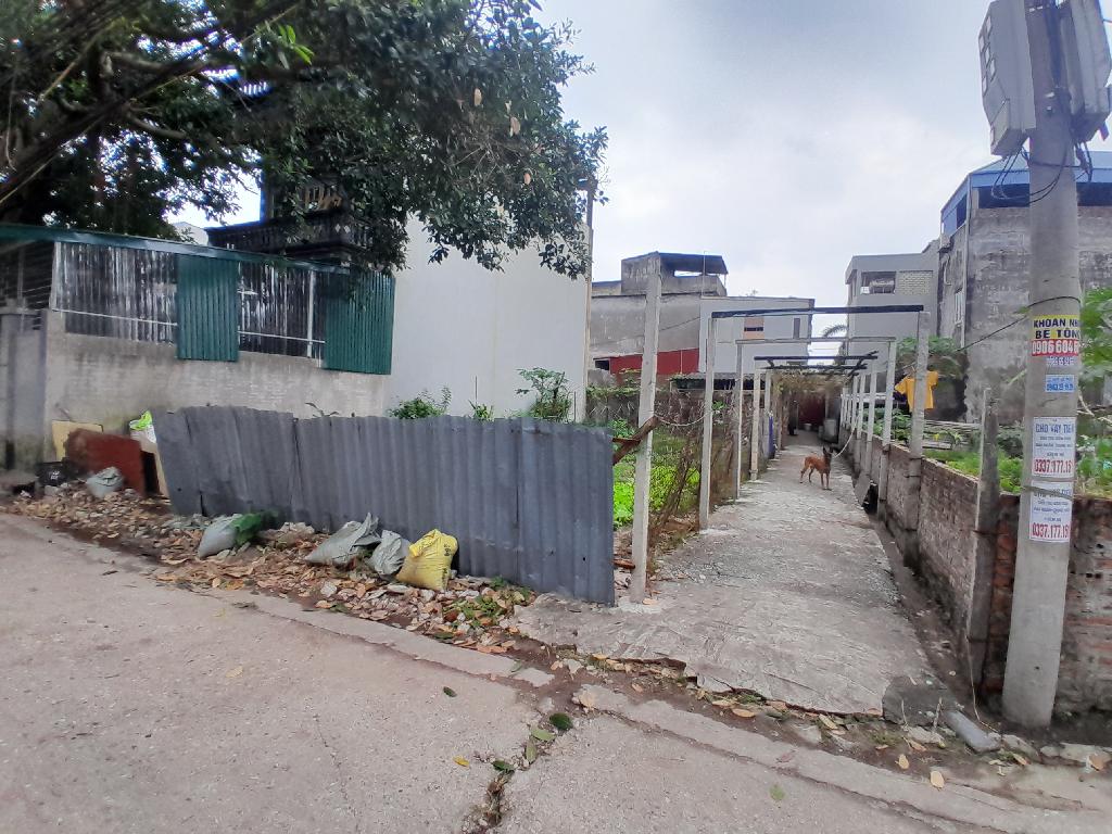Bán đất 159 m² mặt tiền 8 m tại xã Lương Quy - Xuân Nộn, giá 13.8 tỷ