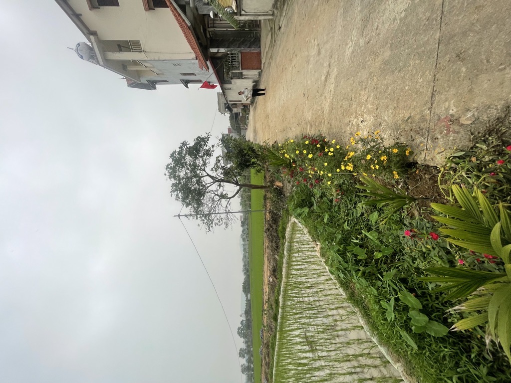 Đất Vuông Vắn Quang Tiến Sóc Sơn - Vị Trí Vàng Cho Nhà Đầu Tư