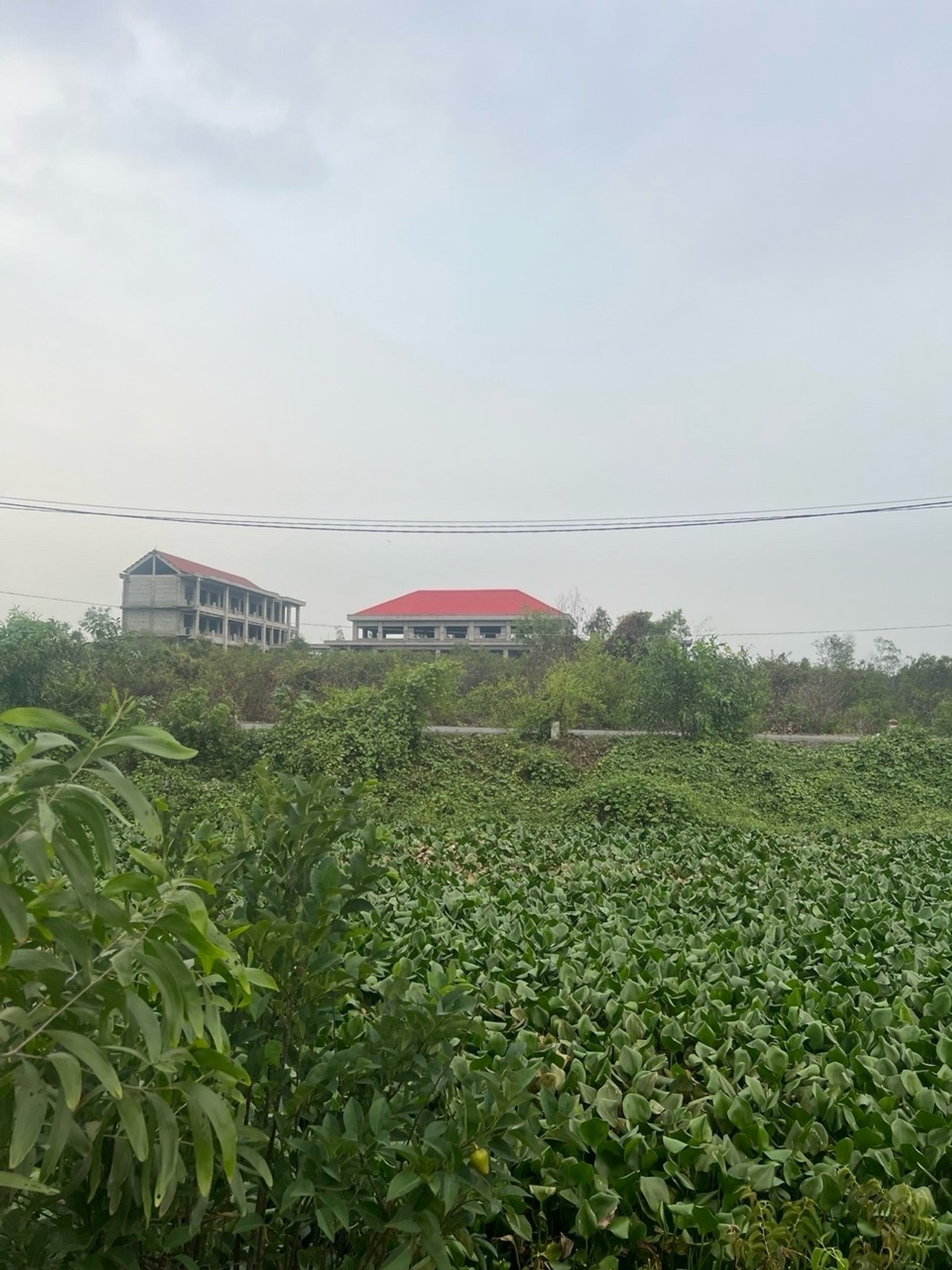 Đất 2 mặt tiền view kênh tại Bộ Đội An Điền - Không gian sống xanh mát