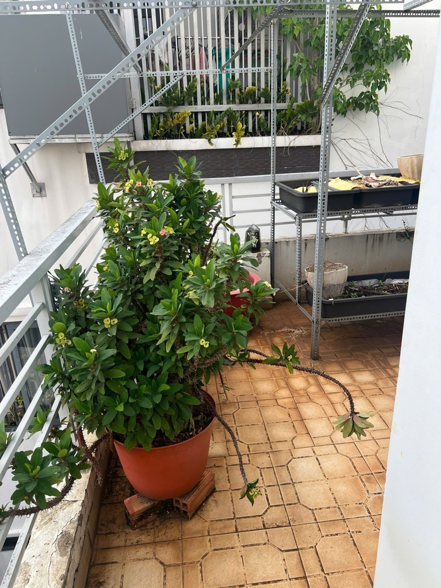 Cơ hội sở hữu nhà 3 tầng vị trí vàng Quận 10 với giá hấp dẫn