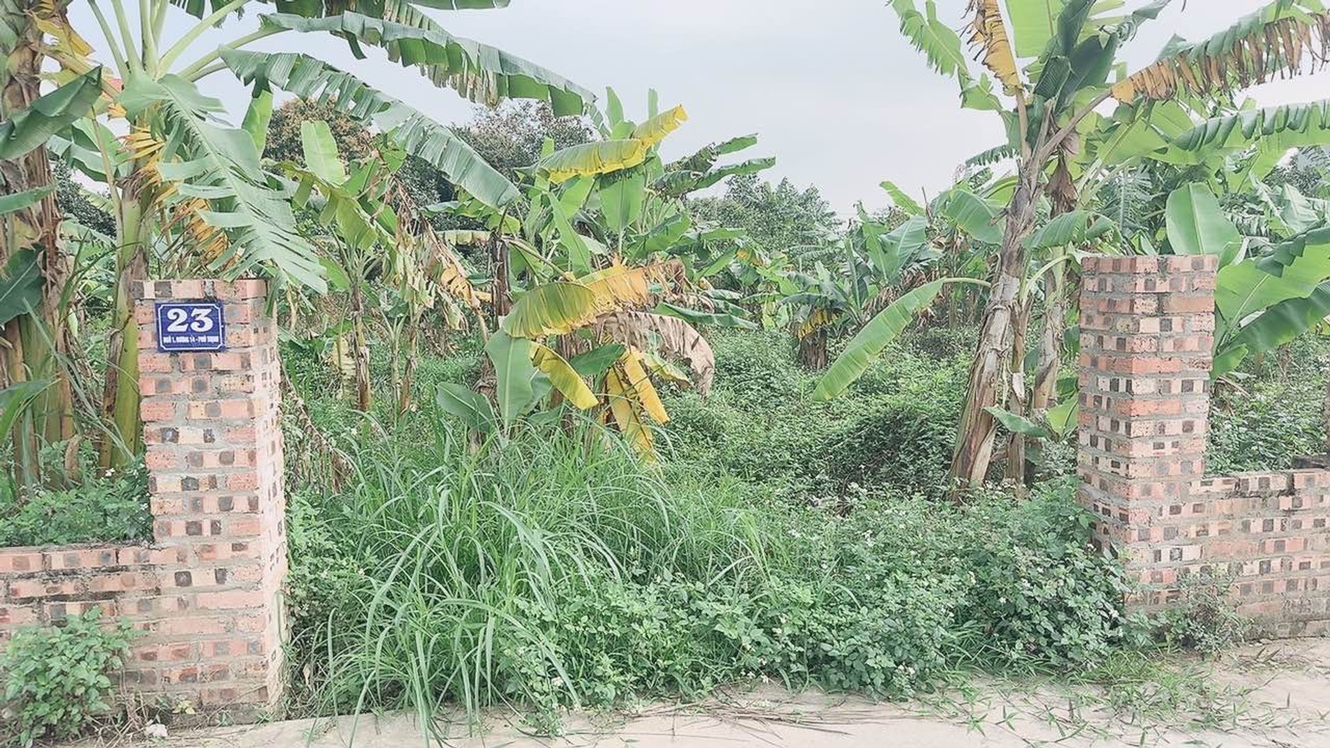 Bán đất phân lô ô tô tránh tại xã Kim Anh, TP Hà Nội, diện tích 75,1m2