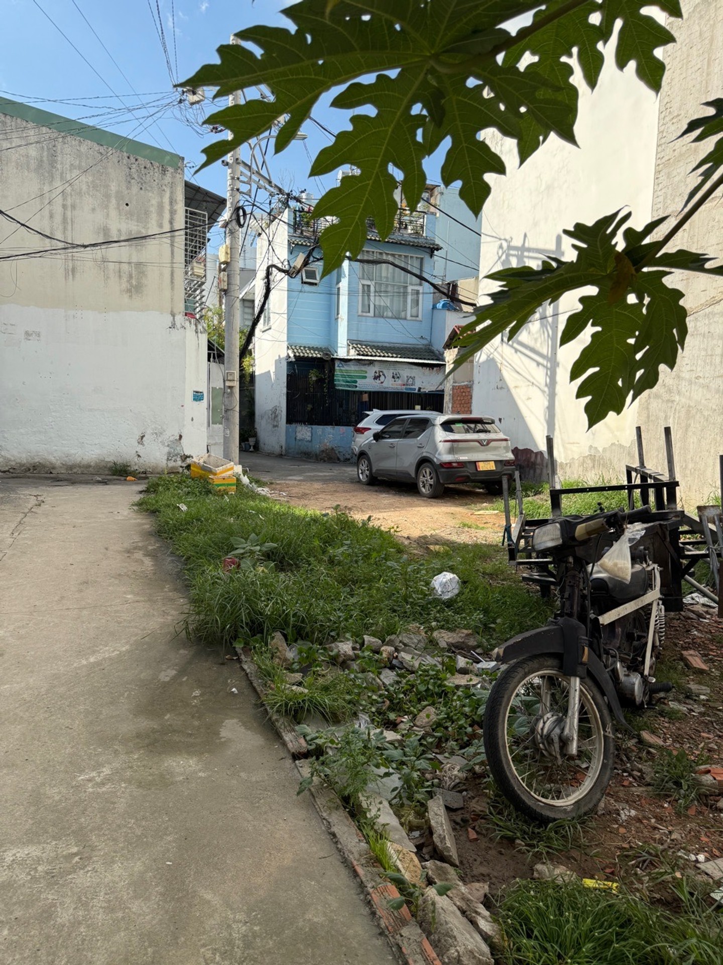 Đất Trống Tiềm Năng Tại Bùi Quang Là - Cơ Hội Vàng Đầu Tư