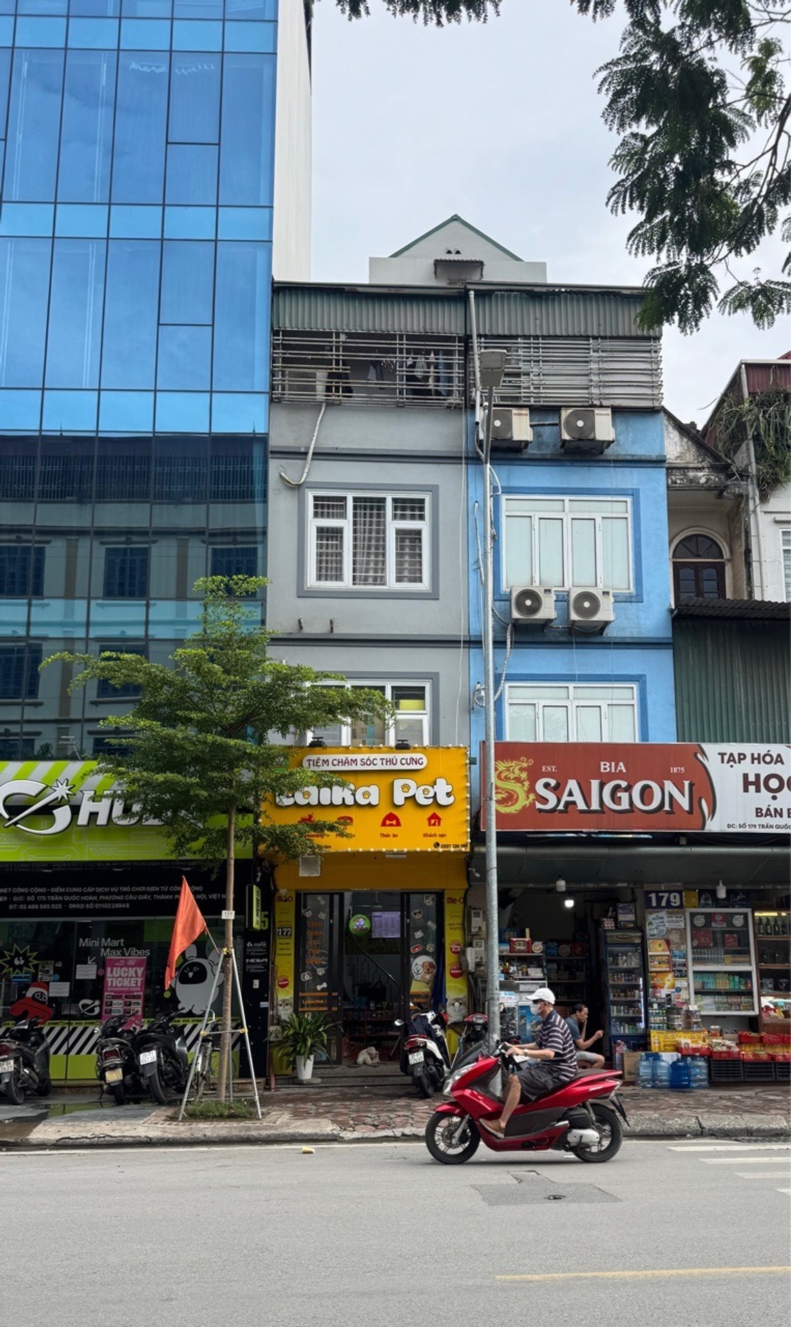 Bán nhà mặt phố Trần Quốc Hoàn, vị trí kinh doanh sầm uất