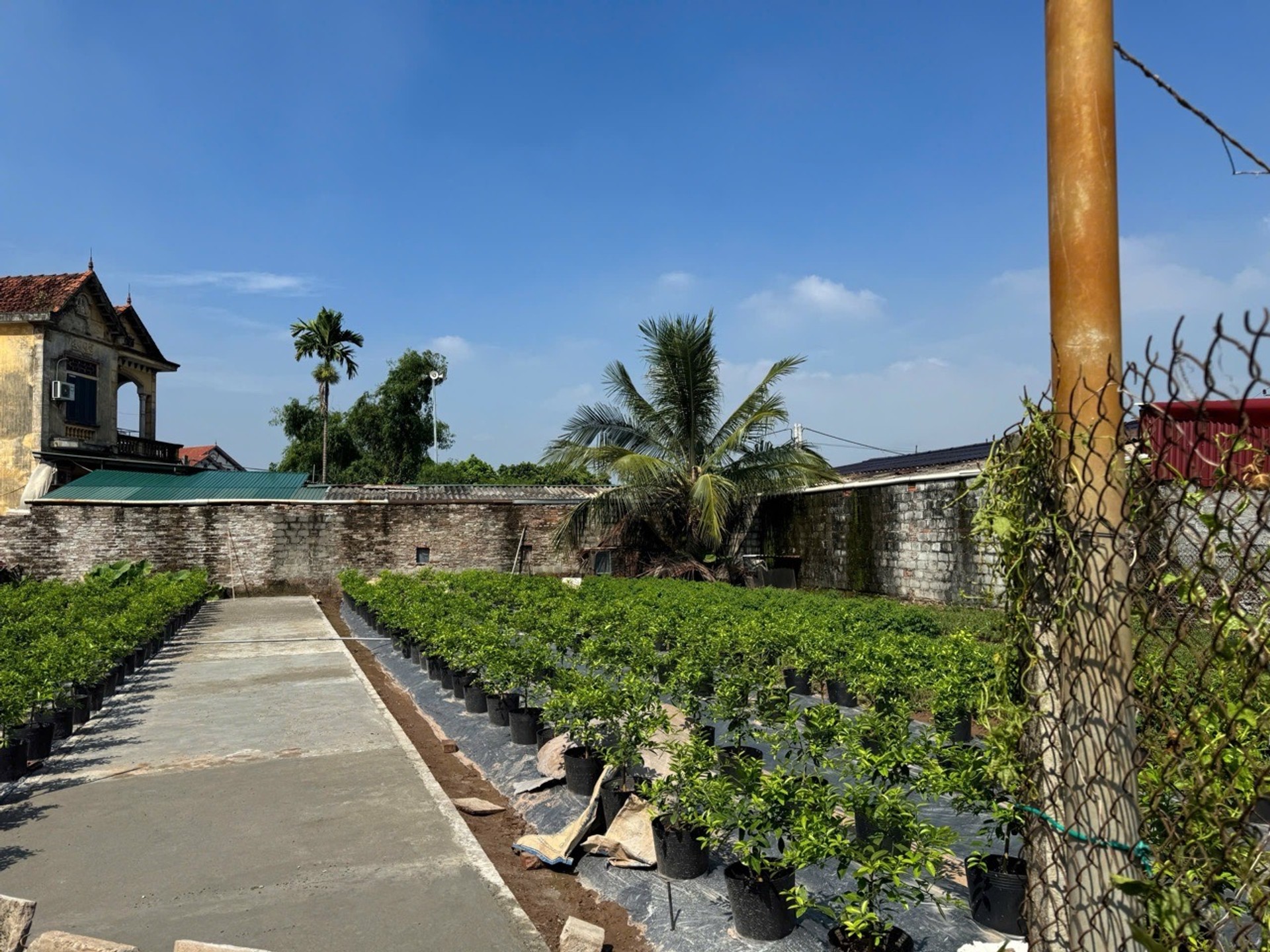 🔥🔥MẢNH ĐẤT HIẾM HÀNG F0 - VIEW HỒ, ĐƯỜNG Ô TÔ - GIÁ ĐẦU TƯ🔥🔥