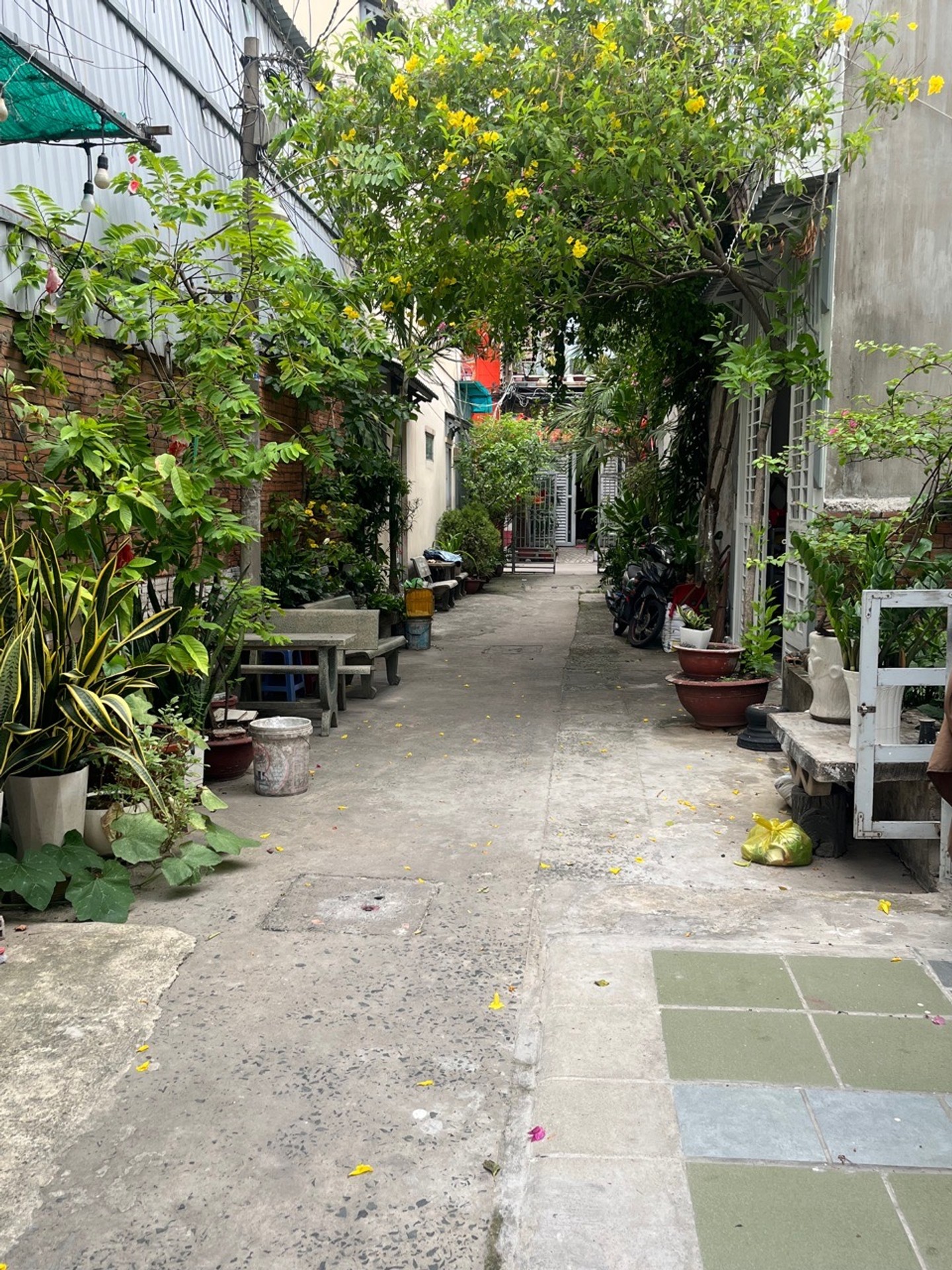 Nhà 2 tầng Tân Bình, giá hấp dẫn cho cuộc sống hiện đại