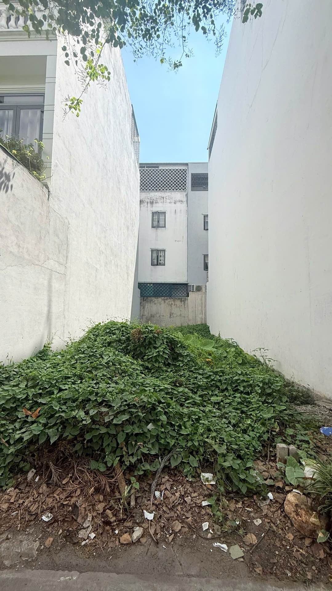 Khu Anh Tuấn Nhà Bè đường nhựa 8m 80m² xây tự do
