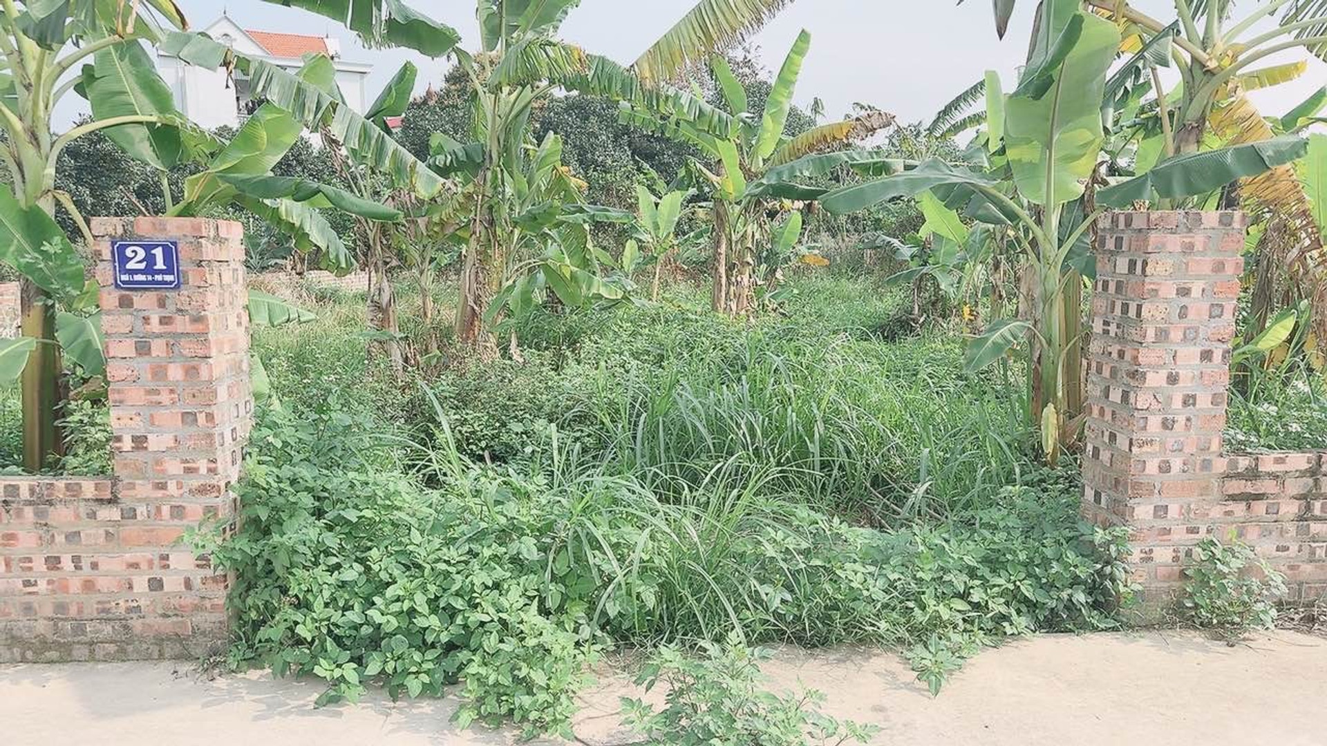Cơ hội hiếm có sở hữu lô đất đẹp tránh ô tô tại xã Kim Anh, TP Hà Nội