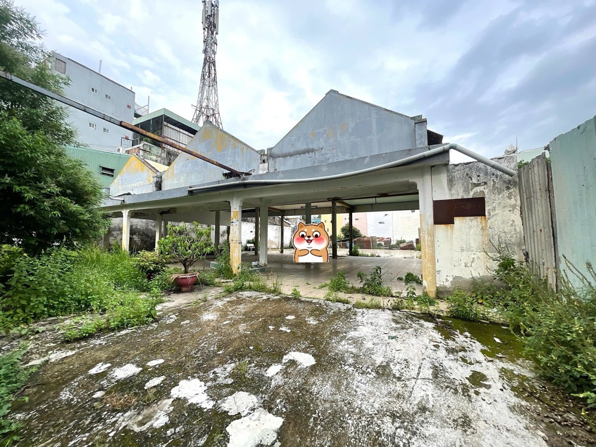 Bán lô đất hơn 620m2 gần Hồ Đắc Di, siêu thị Go Trường Chinh, P Tây Thạnh