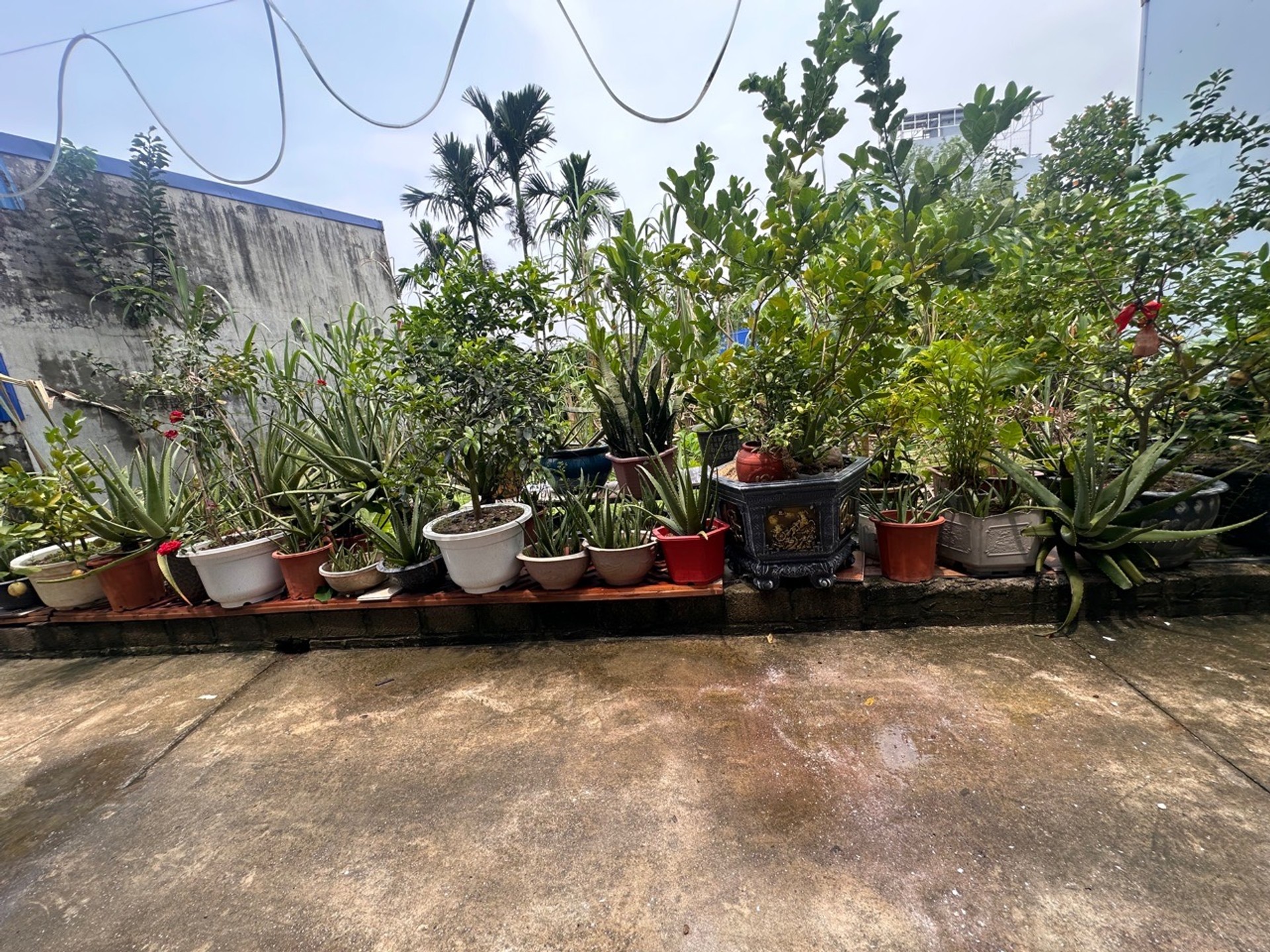 Cơ hội vàng sở hữu đất trung tâm Kiến An giá tốt hiếm có