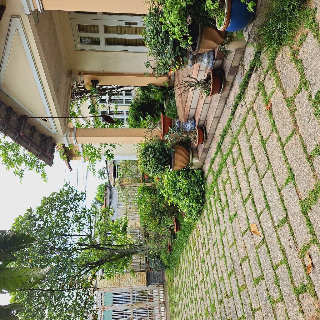 Biệt thự vườn rộng 695m2 tại Bà Điểm, không gian yên tĩnh