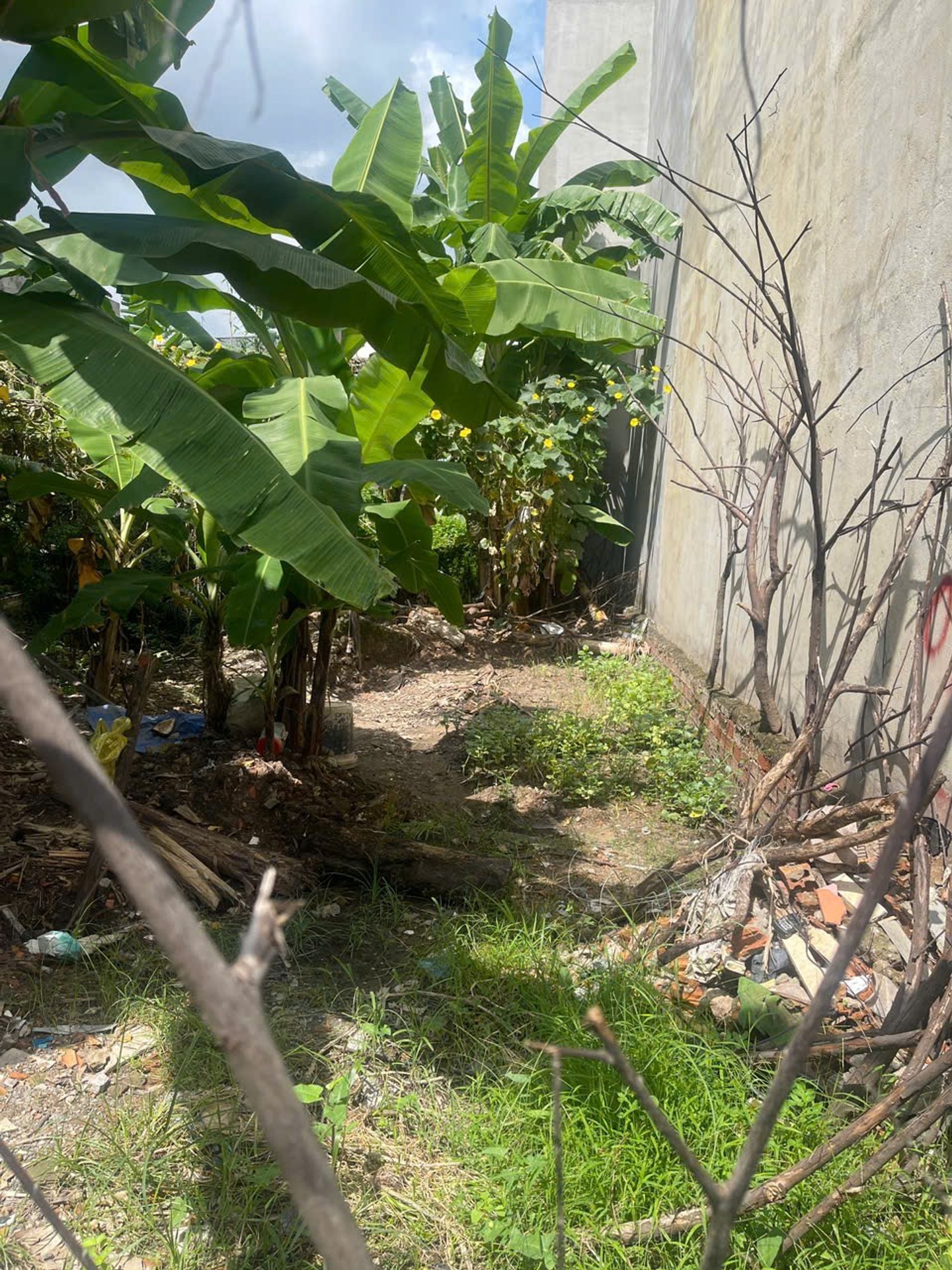 Bán đất 70,5m² hẻm xe hơi tại Thạnh Lộc gần Hà Huy Giáp, giá 3,4 tỷ đồng