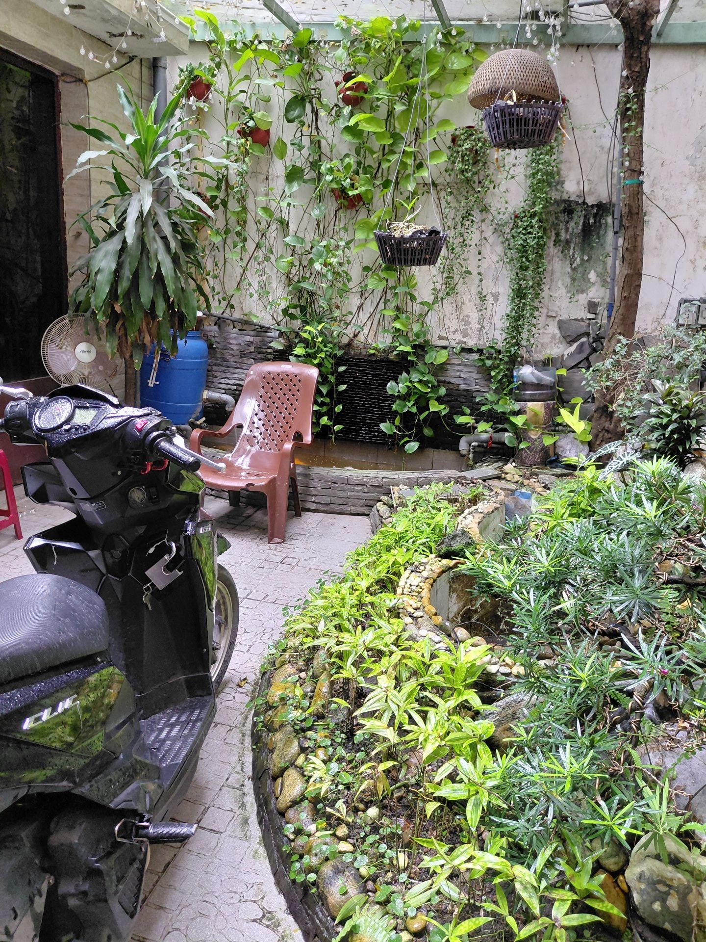 Cơ hội sở hữu nhà Nguyễn Trọng Tuyển diện tích lớn 163m2 Ngang 5,5m giá chỉ 13ty Nhỉnh