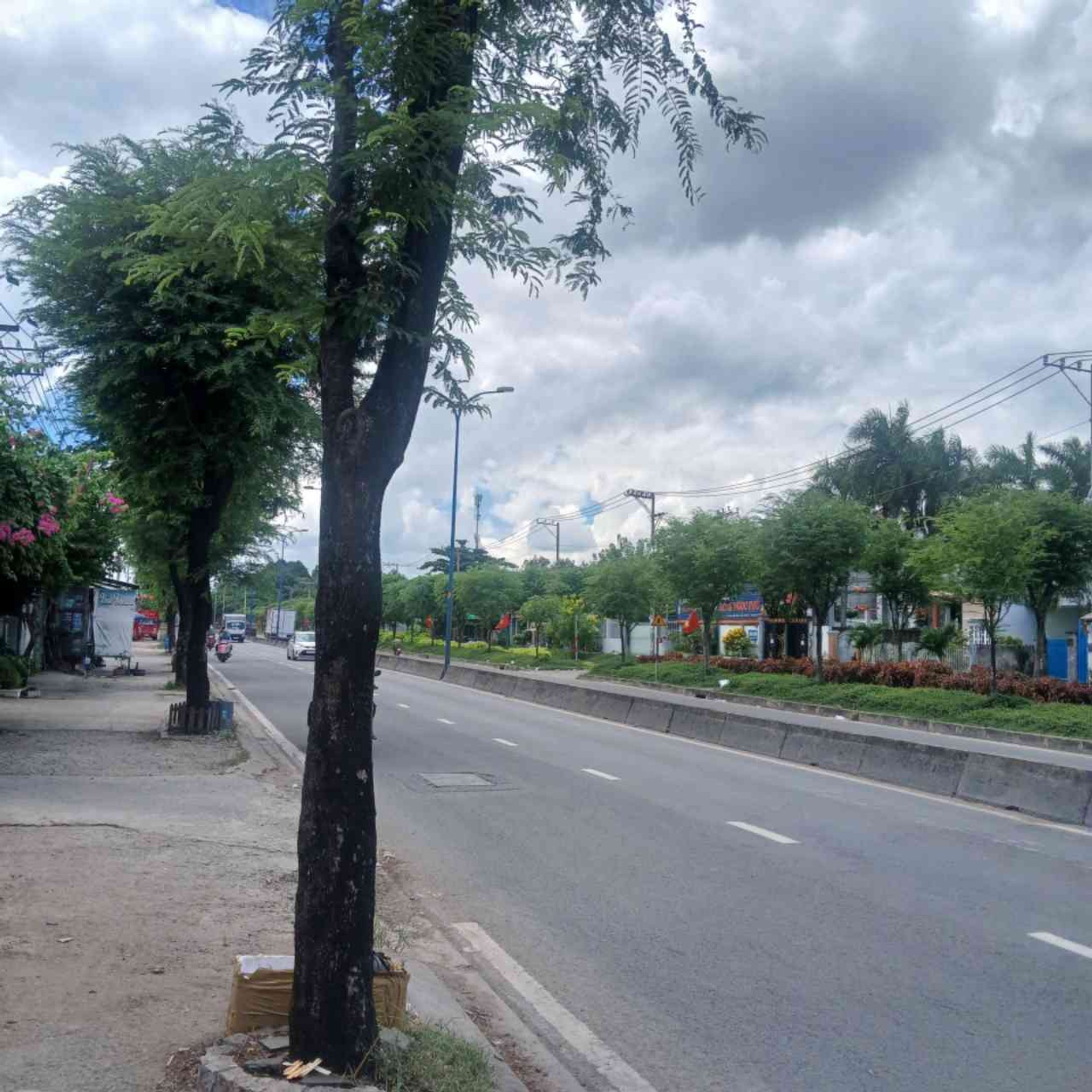 Đất mặt tiền Trần Văn Giàu, tặng nhà 2 tầng, tiện kinh doanh