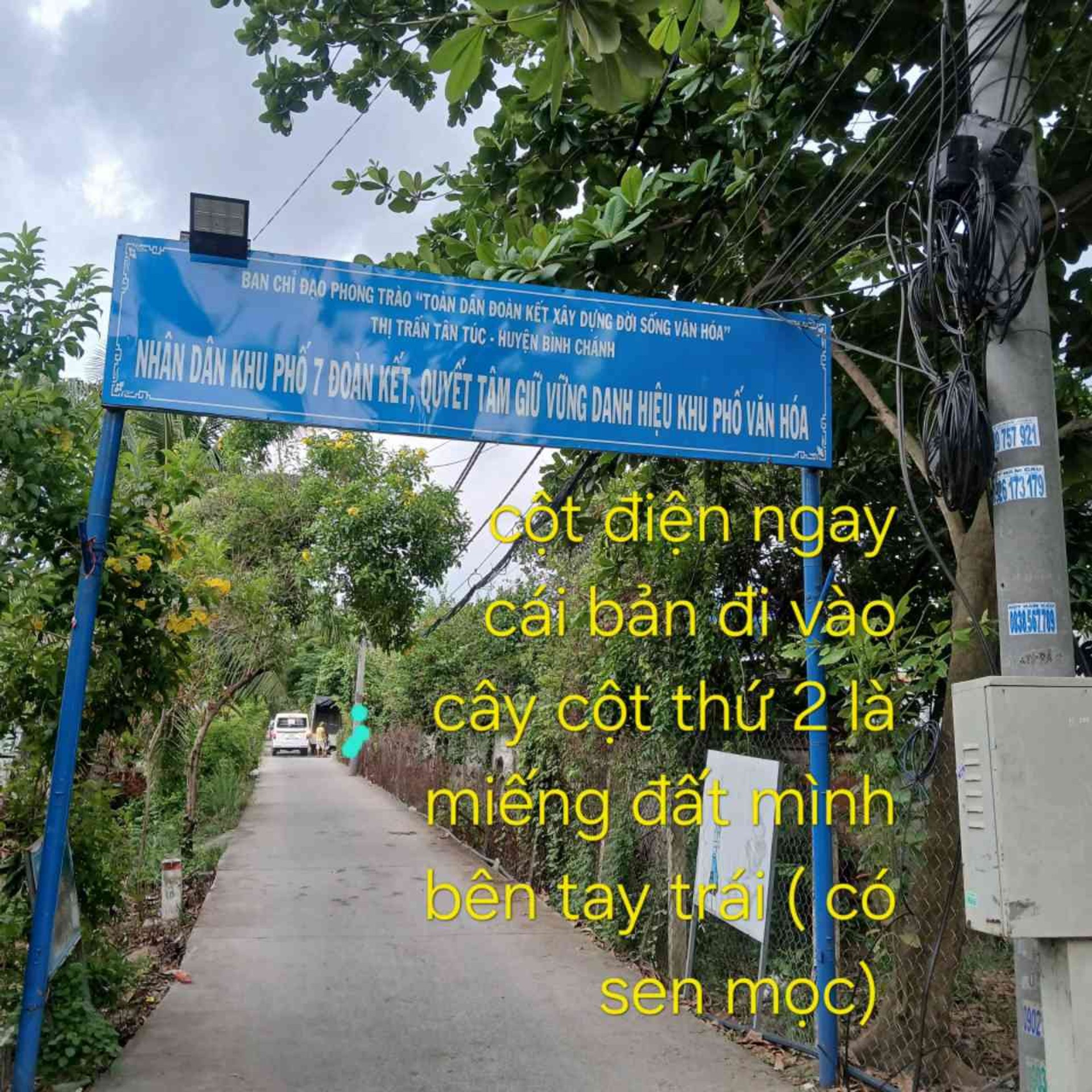 Đất Trồng Cây Tân Túc Giá Tốt - Mặt Tiền Rộng 59m