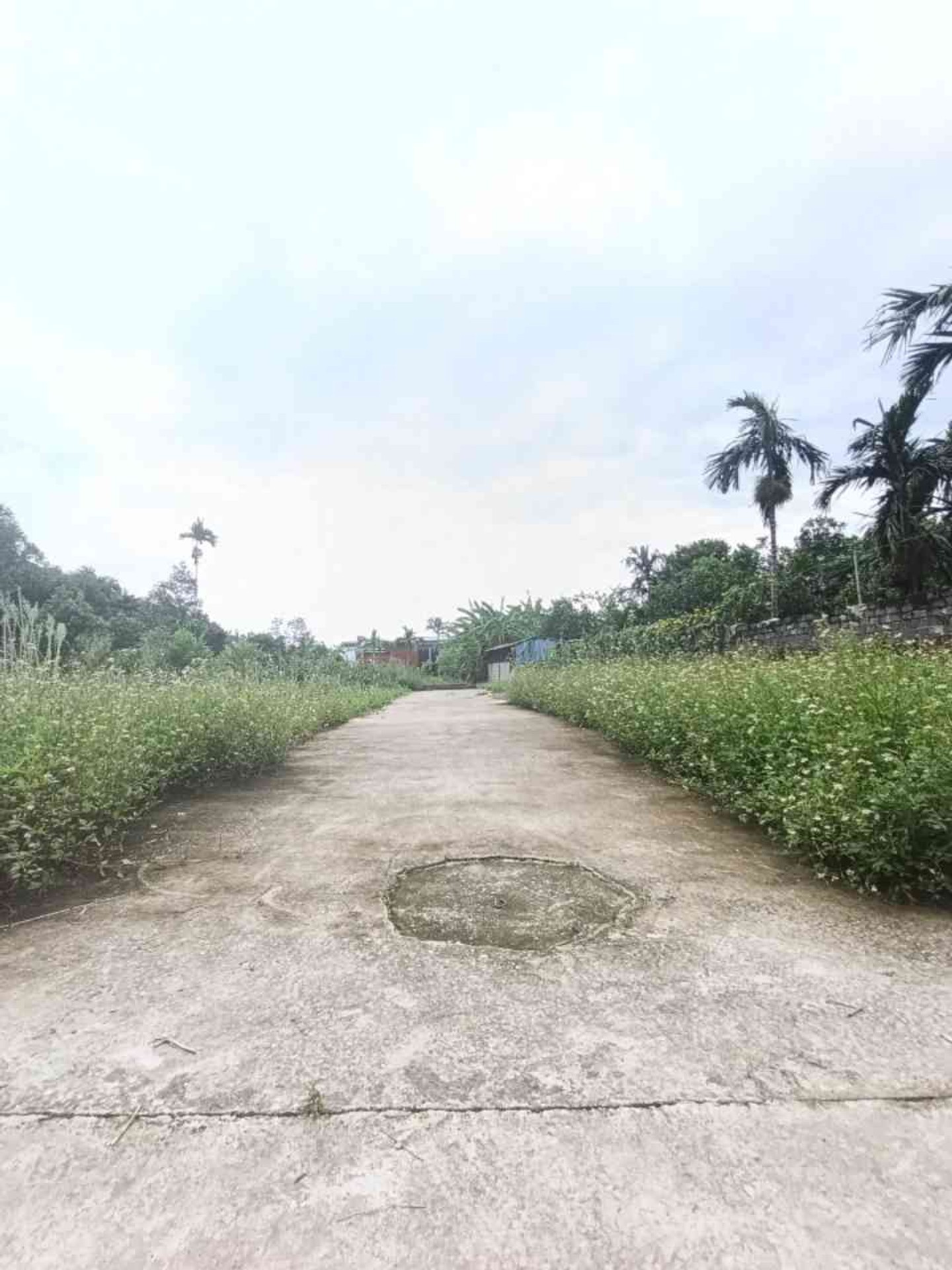 Bán đất thôn 5 Kỳ Sơn, xã Việt Khê, Thủy Nguyên, mặt tiền 4.6m, ô tô vào đất